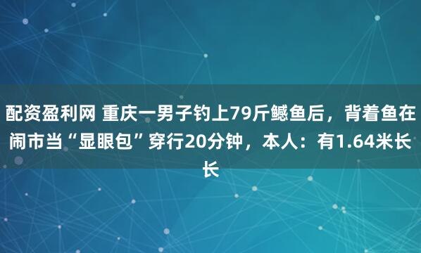 配资盈利网 重庆一男子钓上79斤鳡鱼后，背着鱼在闹市当“显眼包”穿行20分钟，本人：有1.64米长